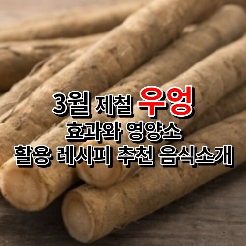 3월 제철 우엉의 효과와 영양소 활용 레시피 추천 음식소개